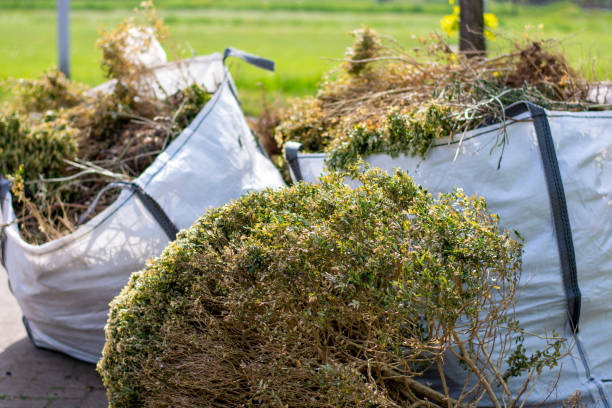 Best Attic Cleanout Services  in Madison, MS